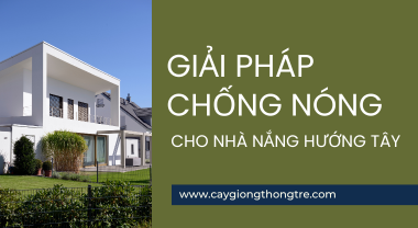 GIẢI PHÁP CHỐNG NÓNG CHO NHÀ NẮNG HƯỚNG TÂY