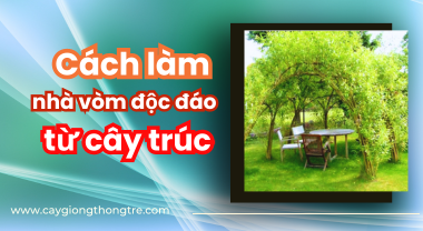 Cách làm Nhà Vòm từ cây Trúc độc đáo và đơn giản