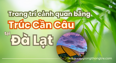 Trang Trí Cảnh Quan bằng Trúc Cần Câu tại Đà Lạt