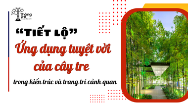 Tiết lộ: Ứng dụng tuyệt vời của cây tre trong kiến trúc và trang trí cảnh quan