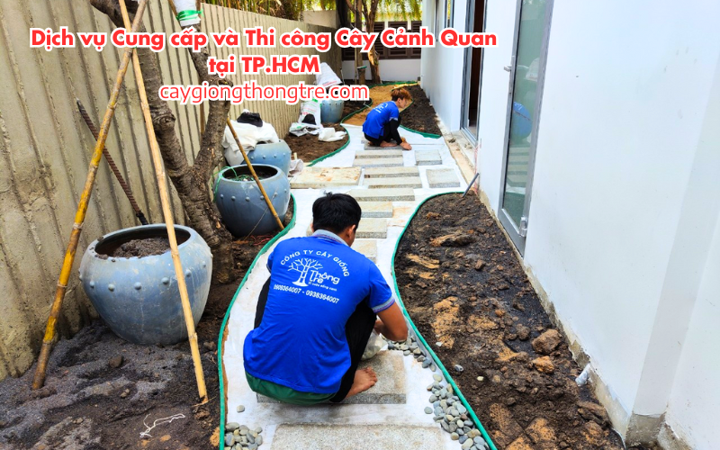 Dịch Vụ Cung Cấp và Thi Công Cây Cảnh Quan tại Thành phố Hồ Chí Minh