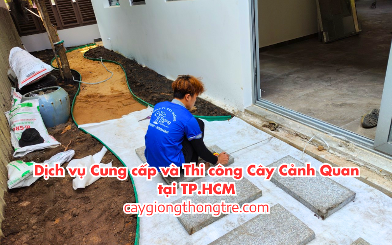 Dịch Vụ Cung Cấp và Thi Công Cây Cảnh Quan tại Thành phố Hồ Chí Minh