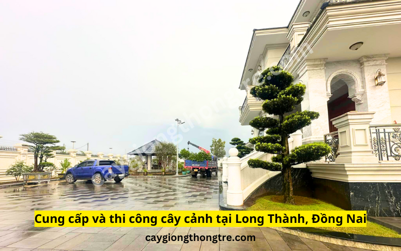 Cung cấp và thi công cây cảnh sân vườn biệt thự tạo Long Thành, Đồng Nai