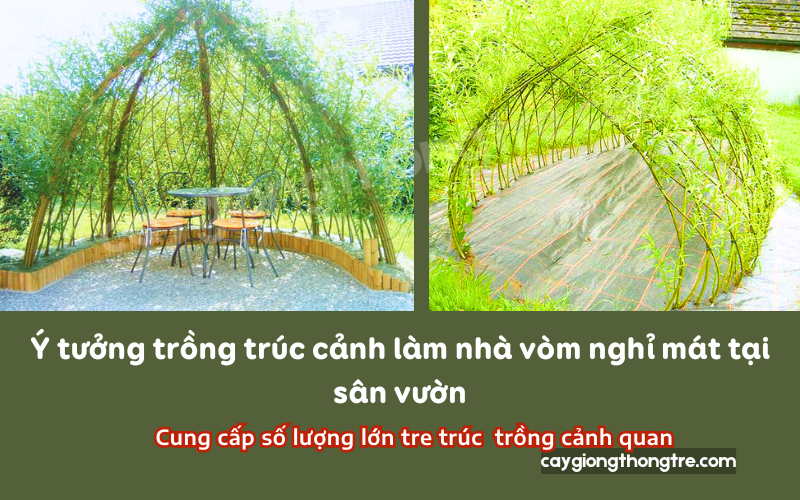 Làm nhà vòm từ cây Trúc